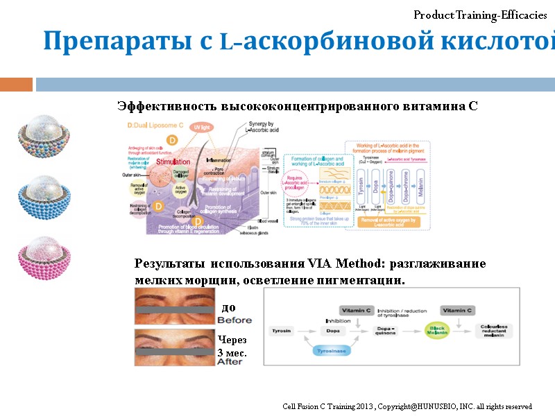 Product Training-Efficacies Cell Fusion C Training 2013 , Copyright@HUNUSBIO, INC. all rights reserved Препараты